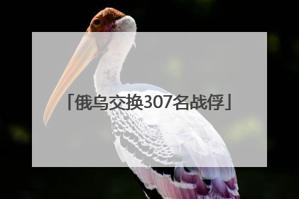 俄乌交换307名战俘